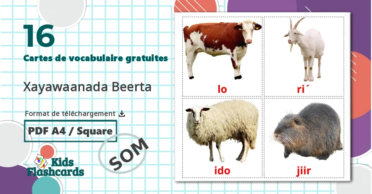 16 Imagiers Les Animaux de la Ferme