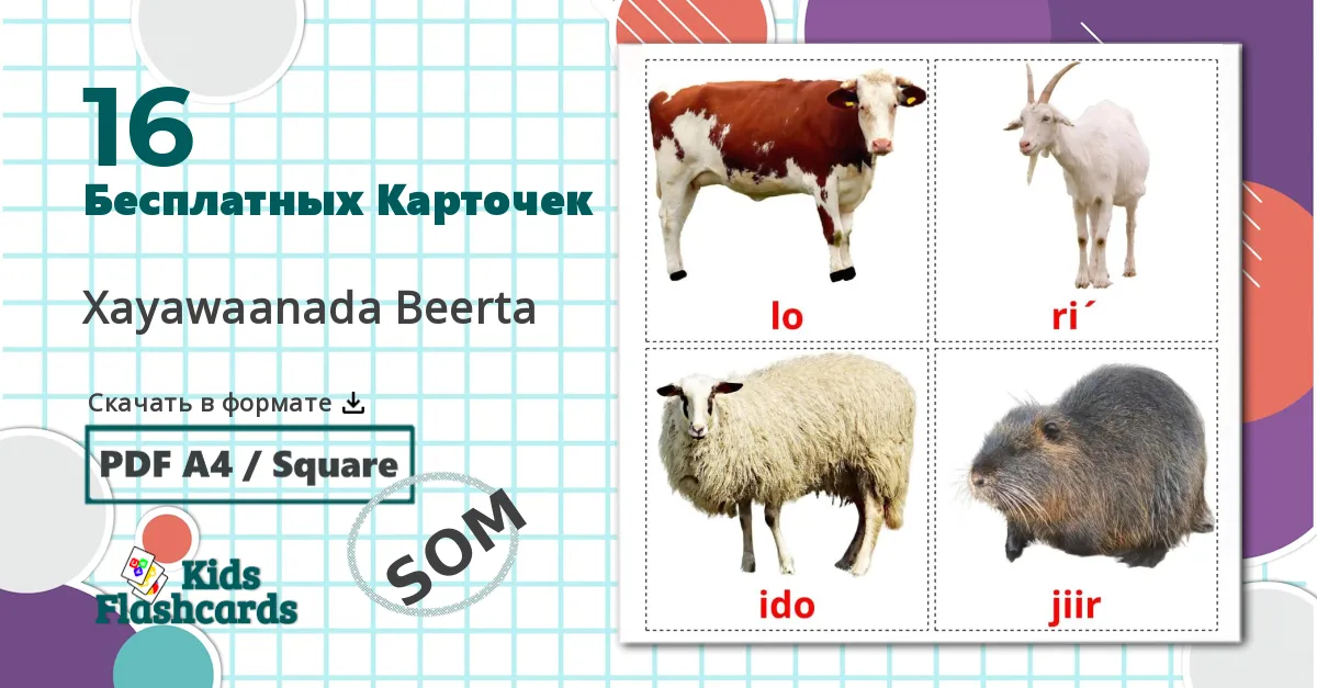 16 Карточки Домана Животные в деревне