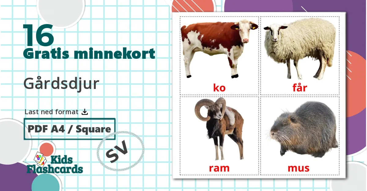 16 Gårdsdjur bildekort
