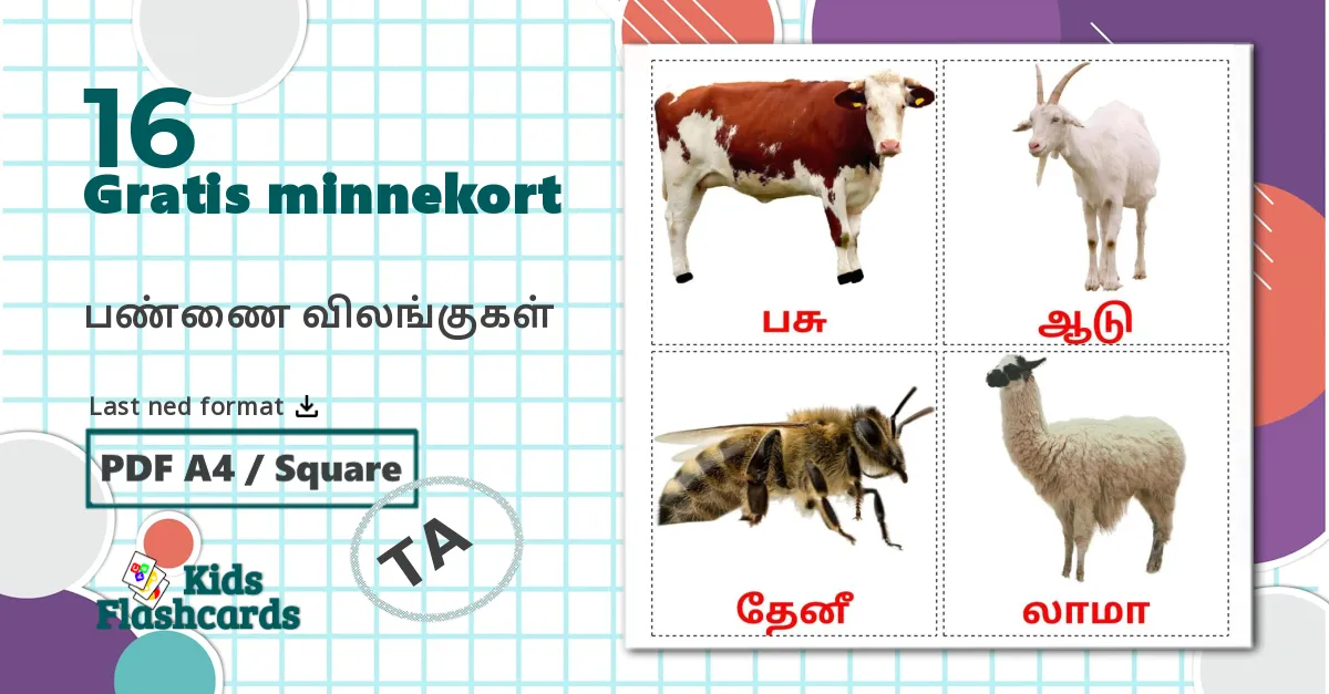 16 பண்ணை விலங்குகள் bildekort