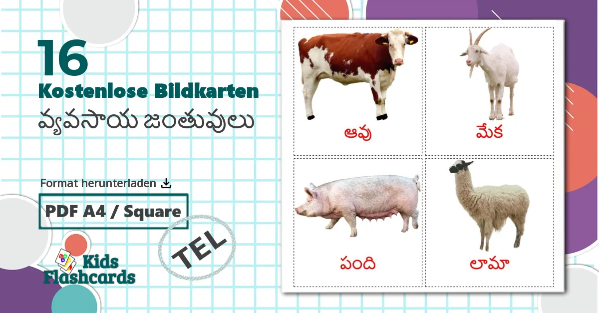 16 Bildkarten für వ్యవసాయ జంతువులు