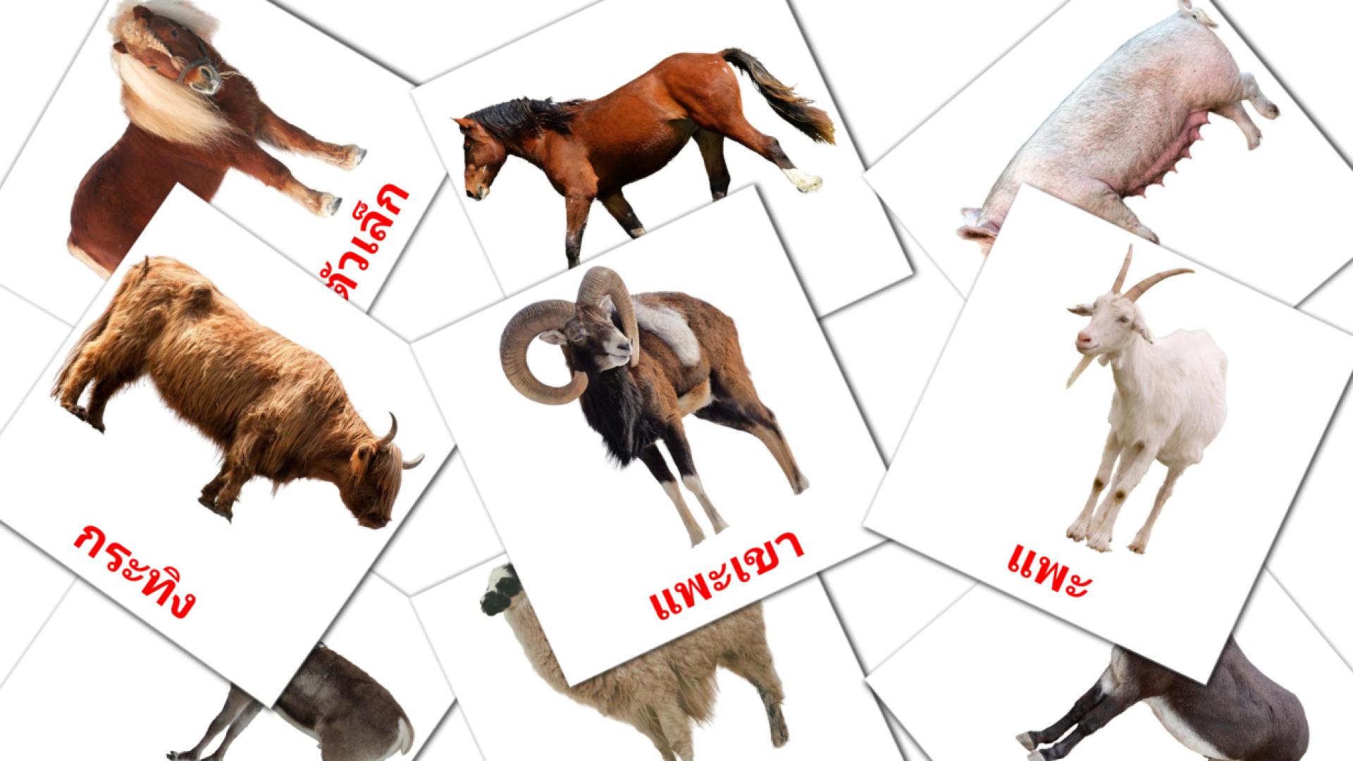 14 Карточки Домана สัตว์ในฟาร์ม