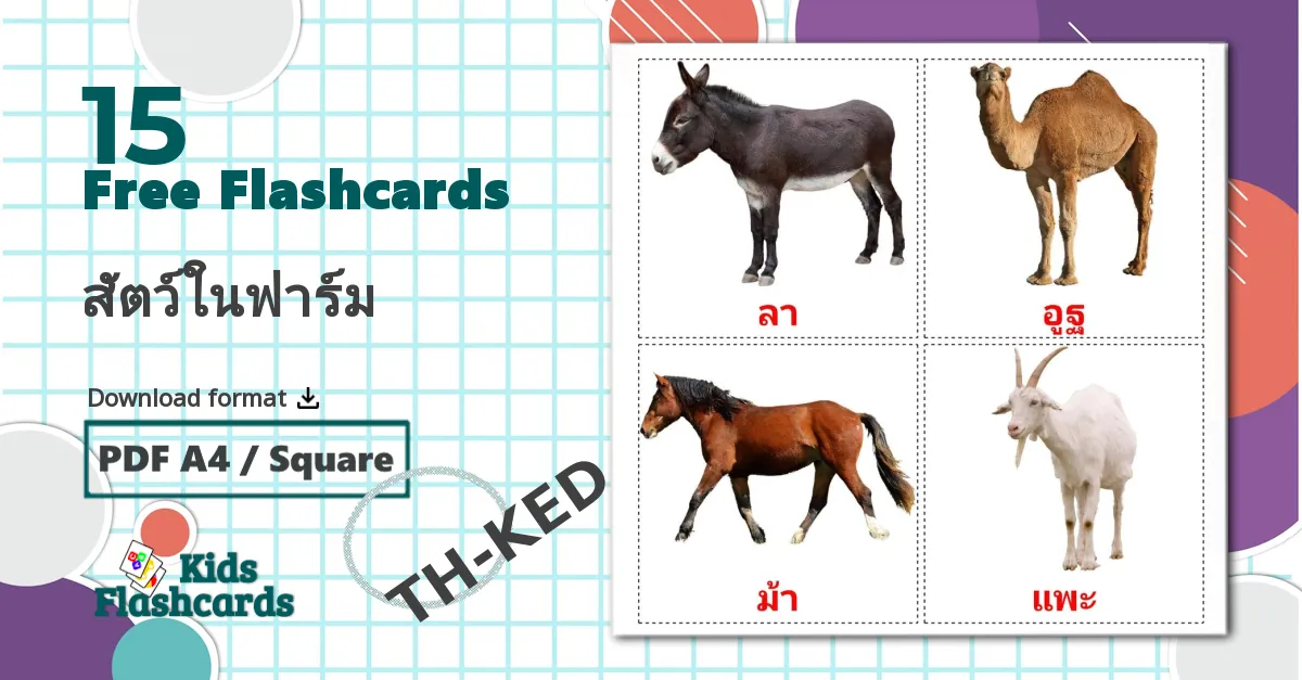 15 สัตว์ในฟาร์ม flashcards