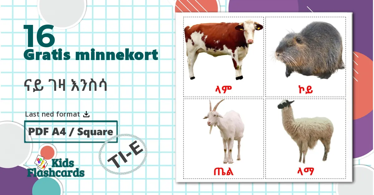 16 ናይ ገዛ እንስሳ bildekort