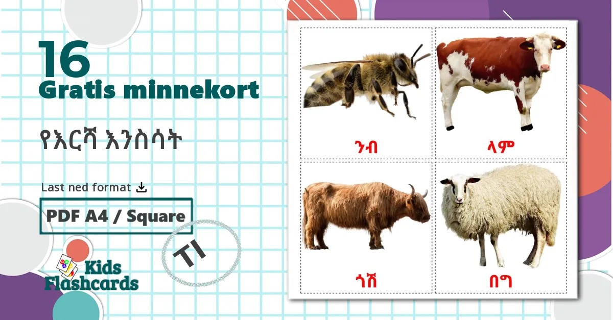 16 የእርሻ እንስሳት bildekort