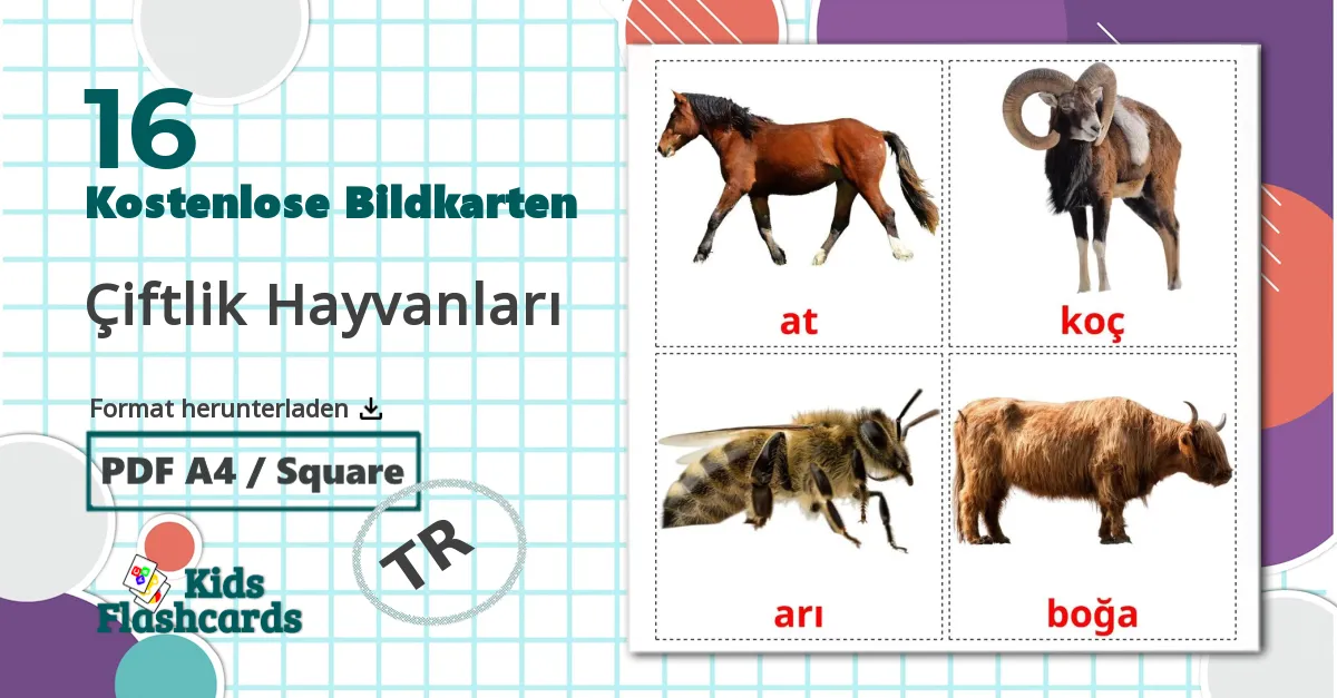 16 Bildkarten für Çiftlik Hayvanları