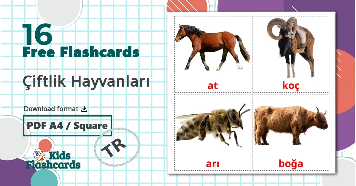 16 Çiftlik Hayvanları flashcards