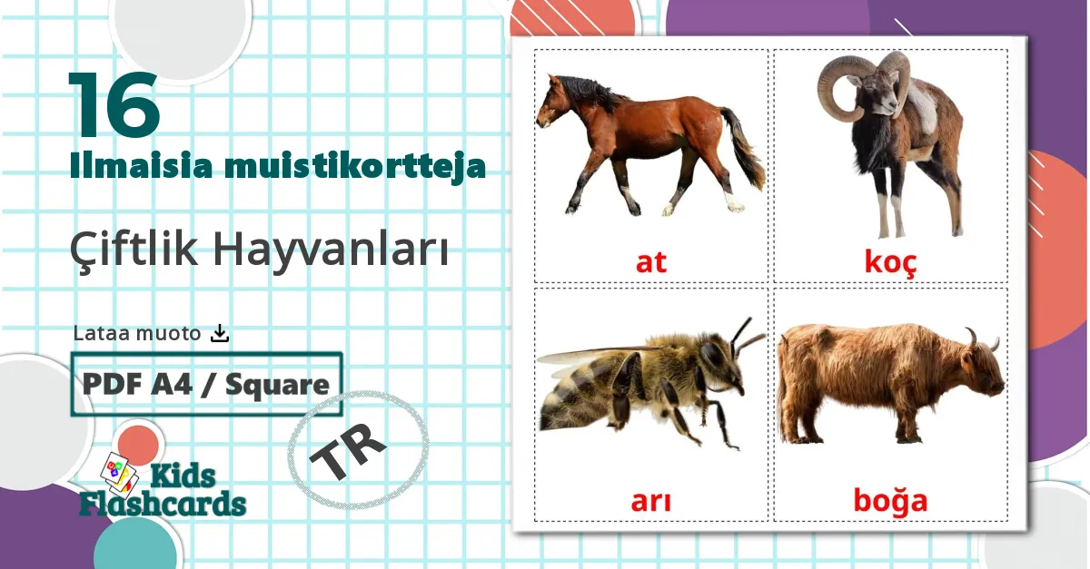16 Çiftlik Hayvanları lasten kuvakortit