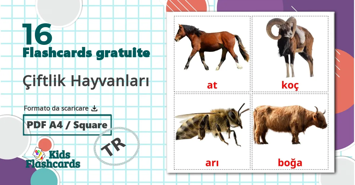 16 flashcards di Çiftlik Hayvanları