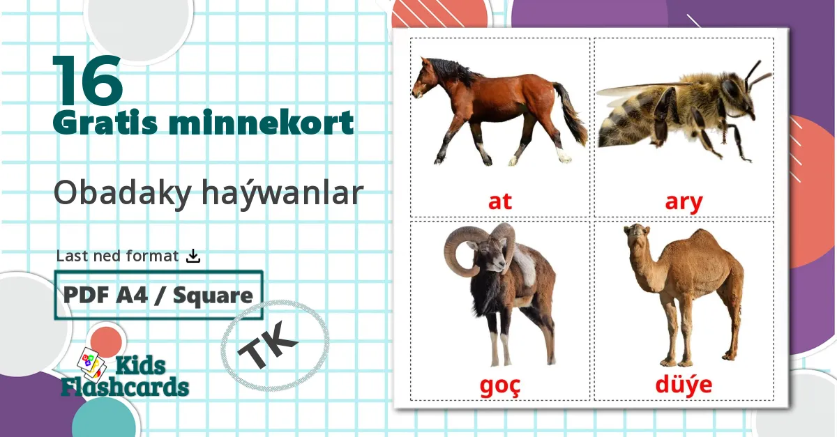 16 Obadaky haýwanlar bildekort