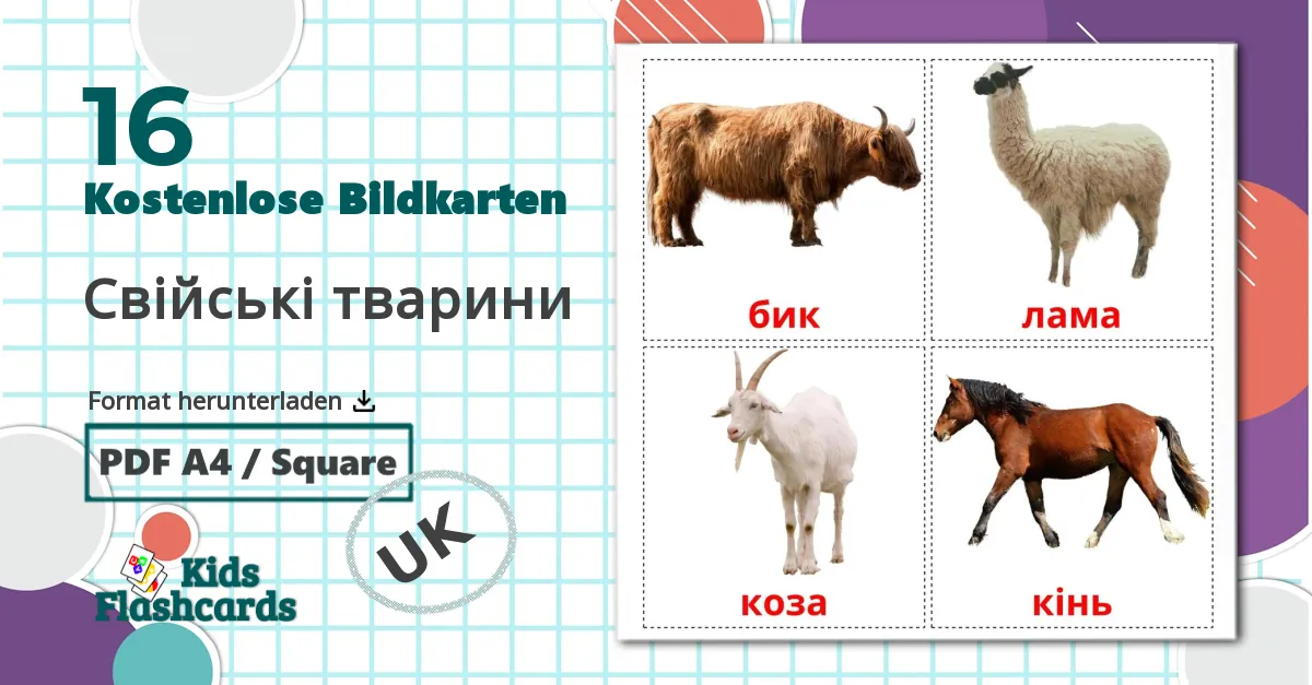 16 Bildkarten für Свiйськi тварини