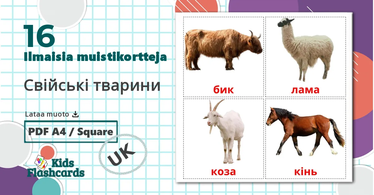 16 Свiйськi тварини  lasten kuvakortit