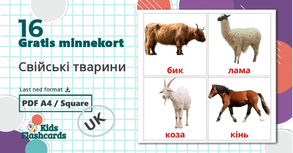 16 Свiйськi тварини  bildekort