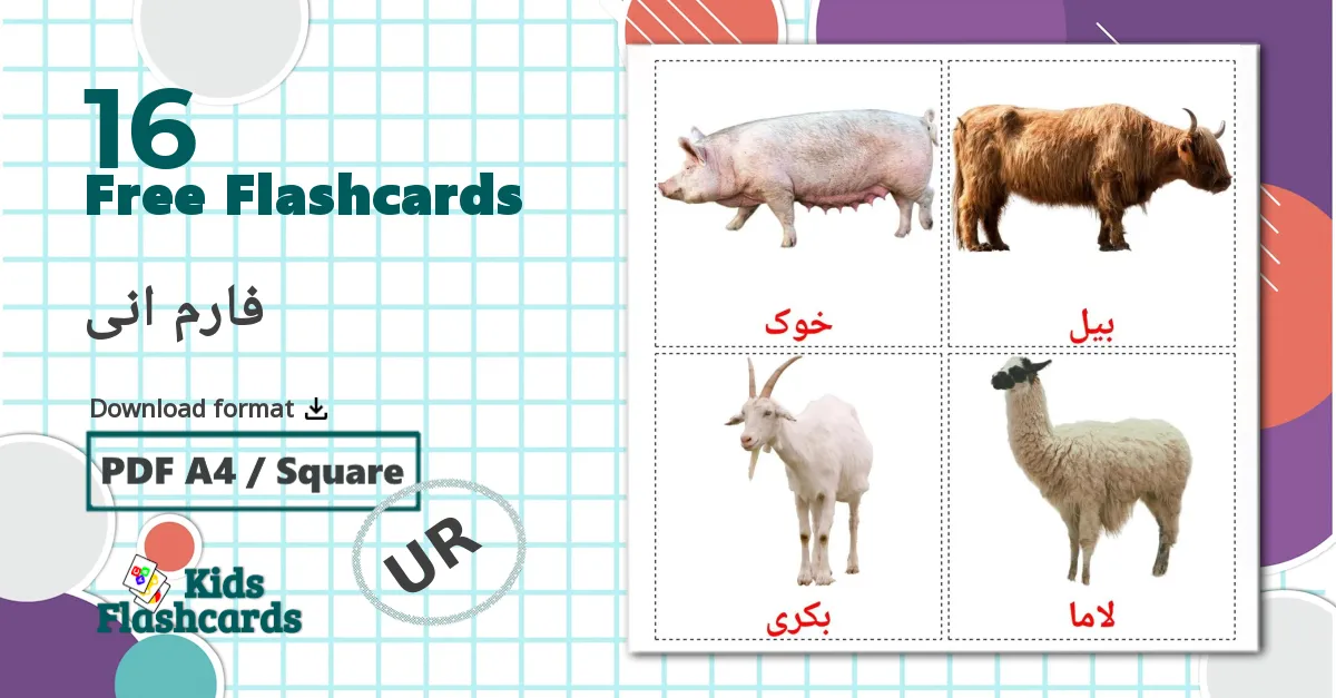 16 فارم انی flashcards