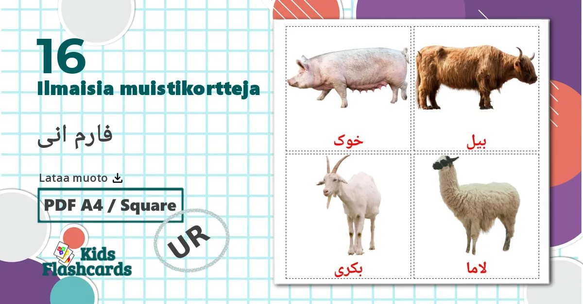 16 فارم انی lasten kuvakortit