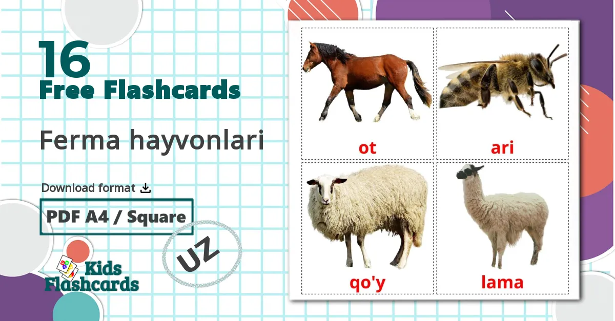 16 Ferma hayvonlari flashcards