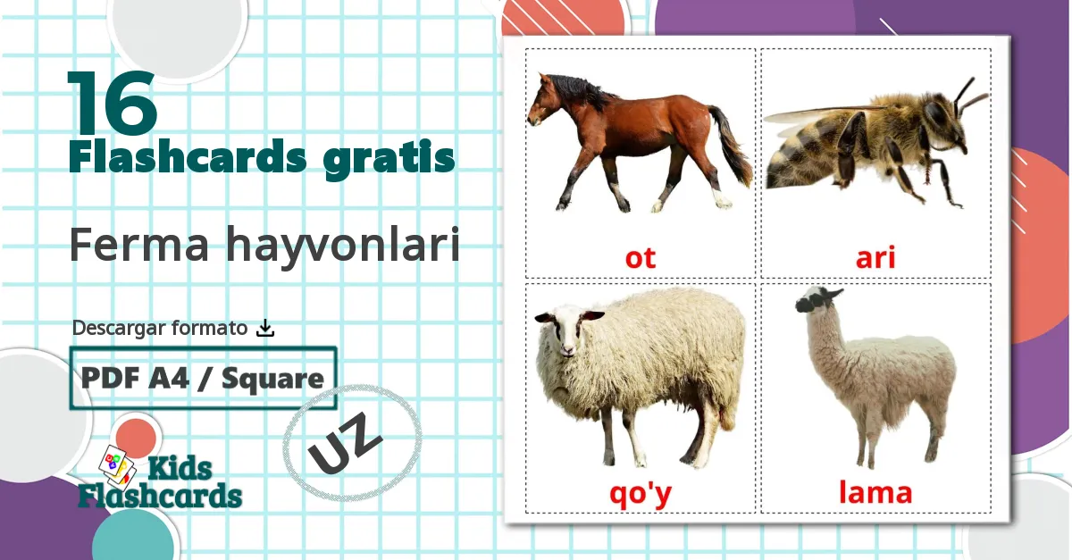 16 tarjetas didacticas de Ferma hayvonlari