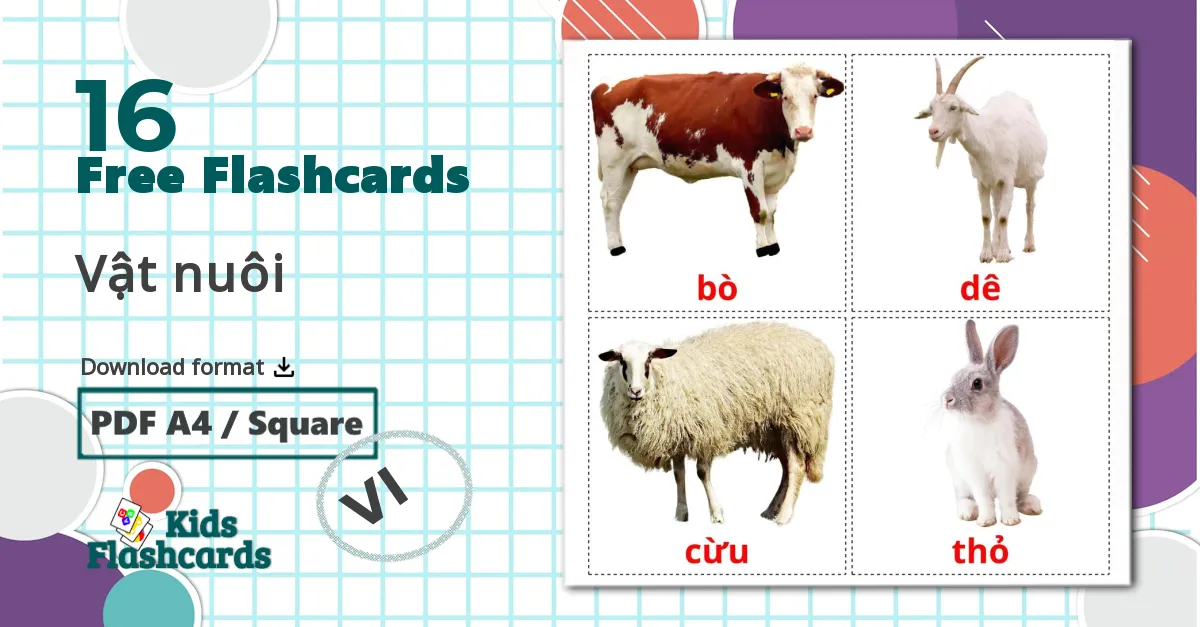 16 Vật nuôi flashcards