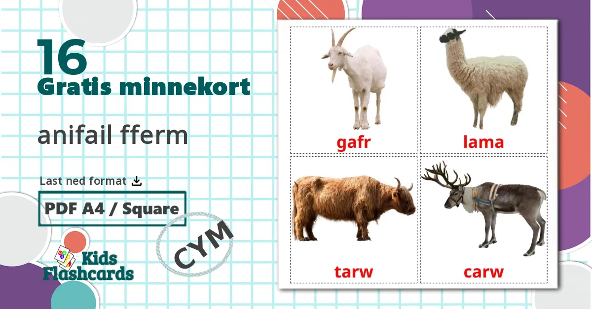 16 anifail fferm  bildekort