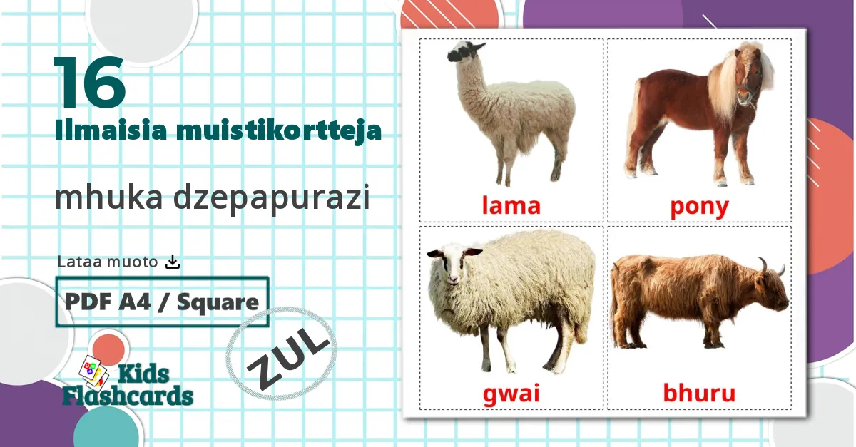 16 mhuka dzepapurazi lasten kuvakortit
