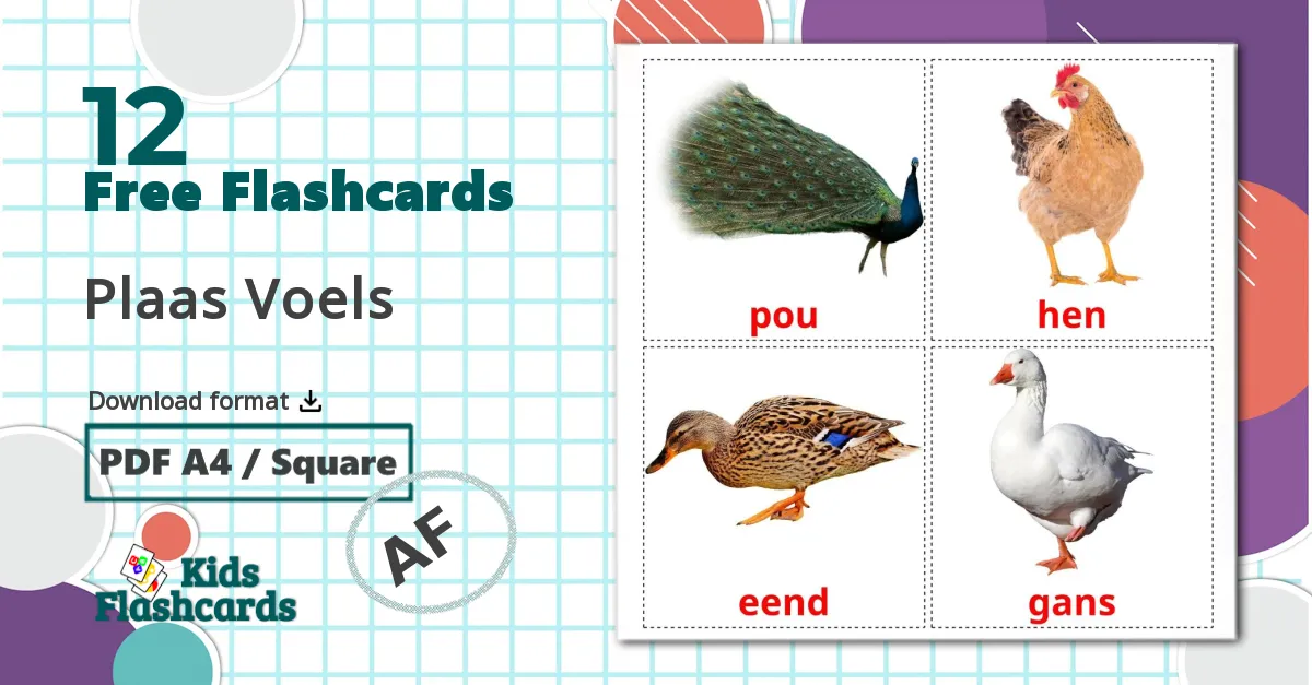 Farm birds - afrikaans vocabulary cards