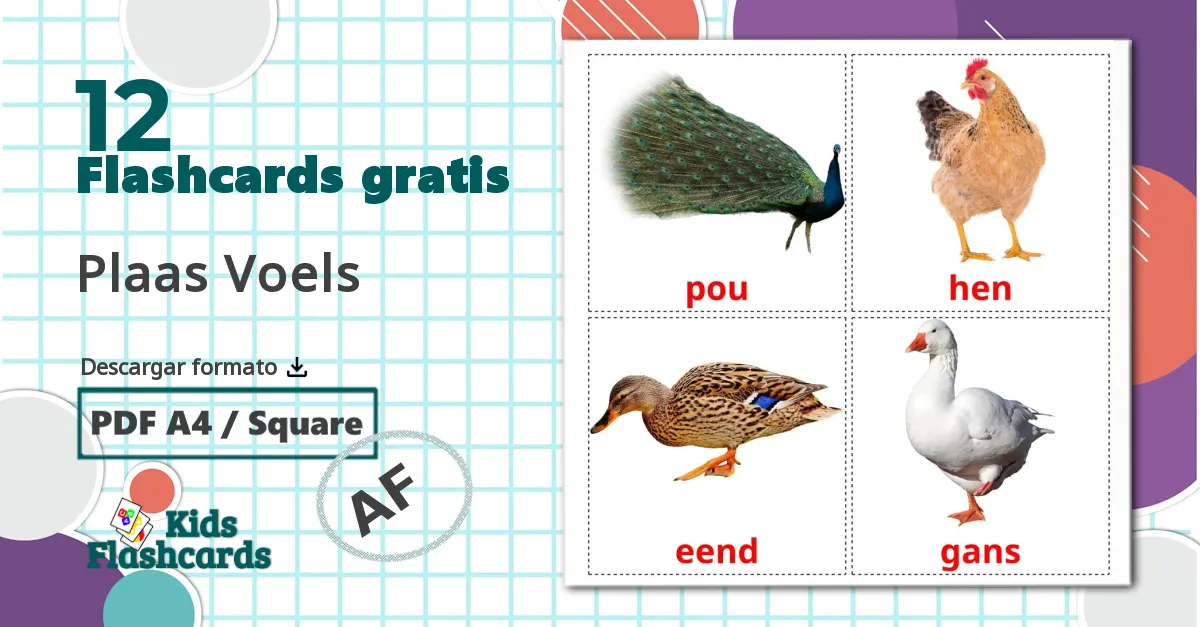 Aves de granja - tarjetas de vocabulario en afrikáans