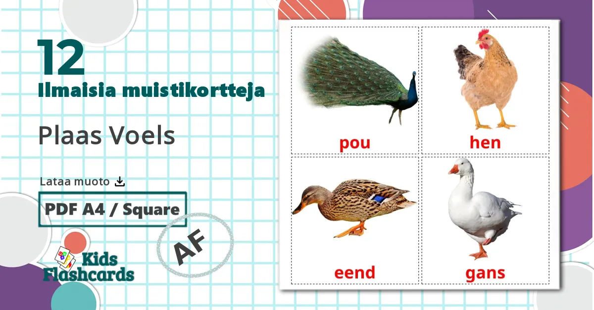 Maatila linnut - afrikaans sanastokortit