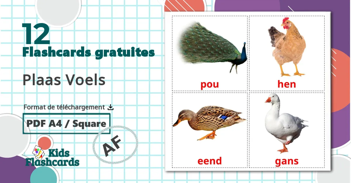 Les Oiseaux de Ferme - cartes de vocabulaire afrikaans