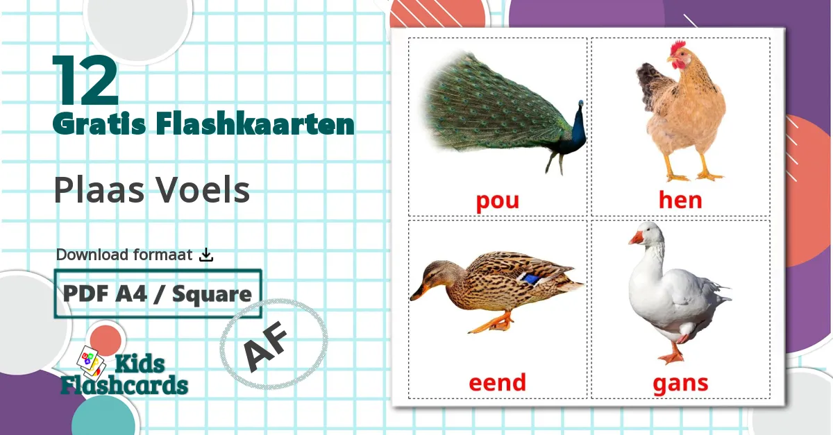 Boerderijvogels - afrikaanse woordenschatkaarten