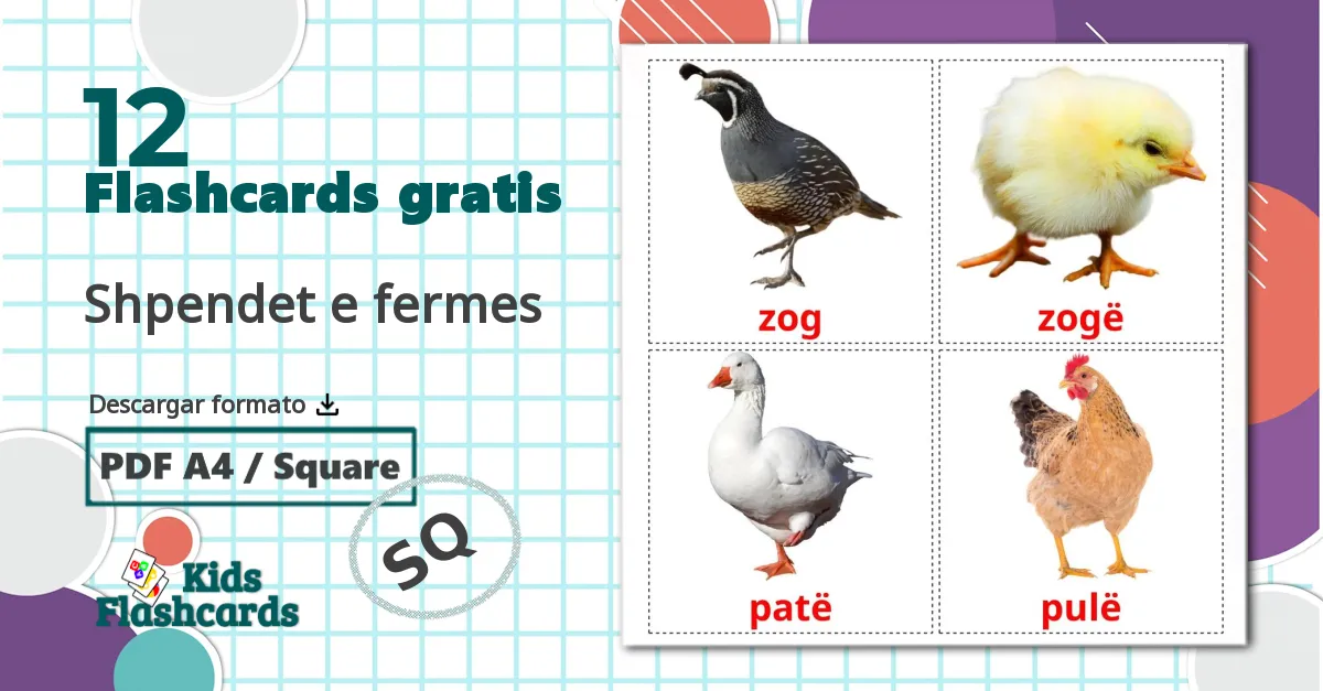 Aves de granja - tarjetas de vocabulario en albanés