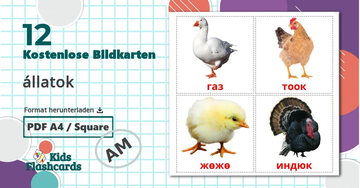 12 Bildkarten für Bauernhof Vögel