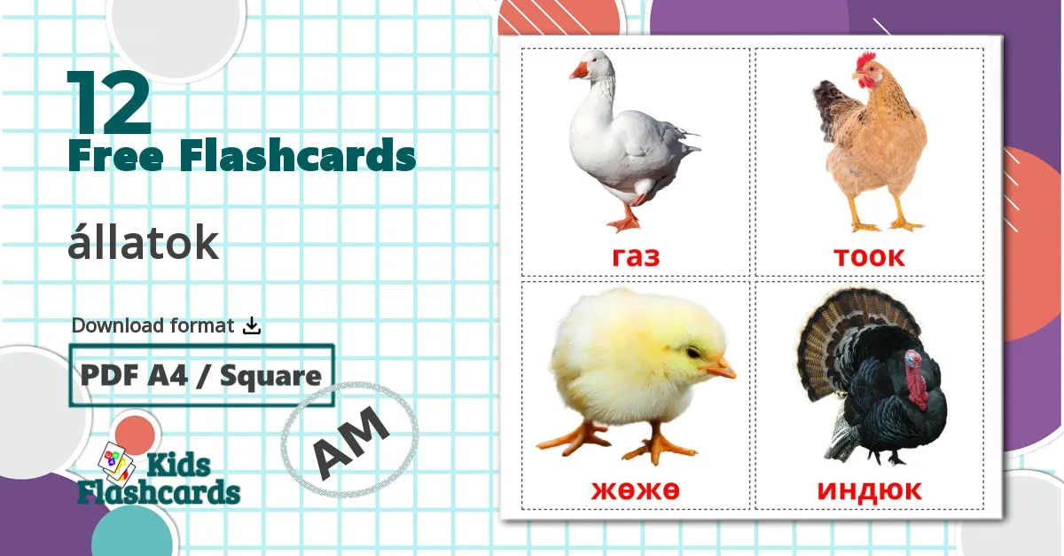 12 Farm birds flashcards