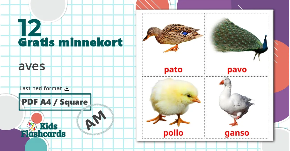 12 Gårdsfugler bildekort