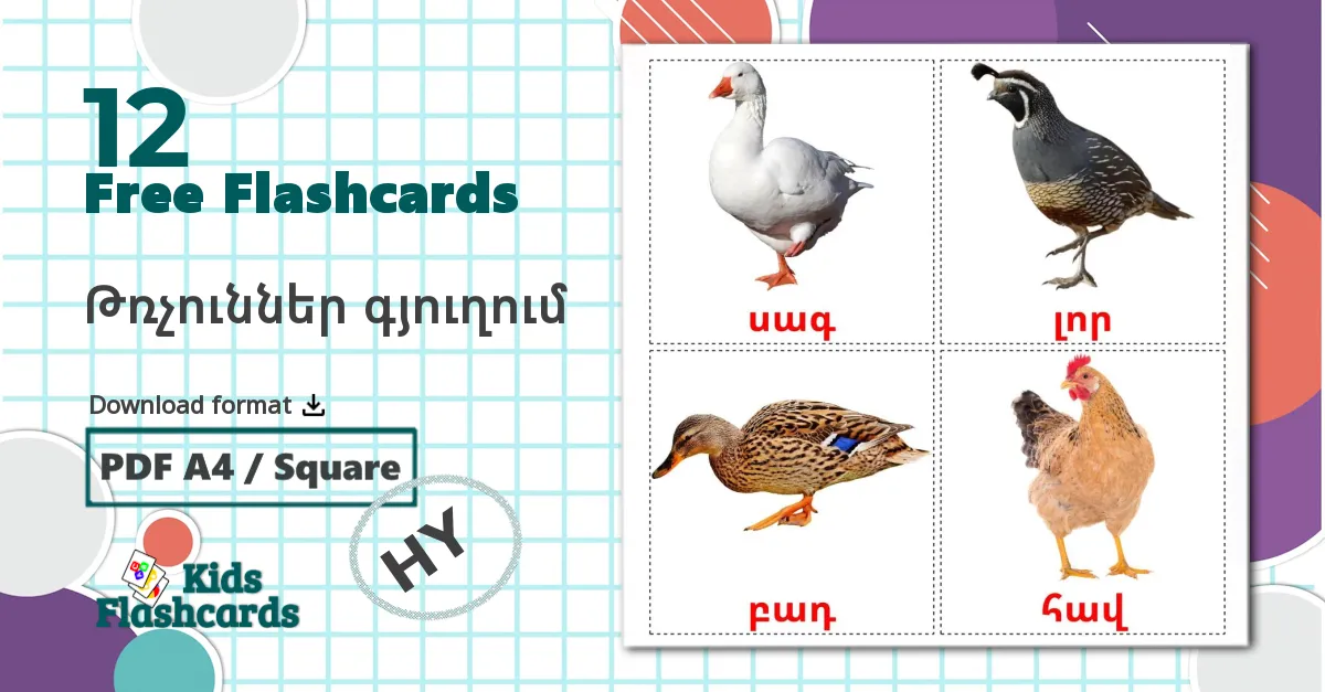 Farm birds - armenian vocabulary cards