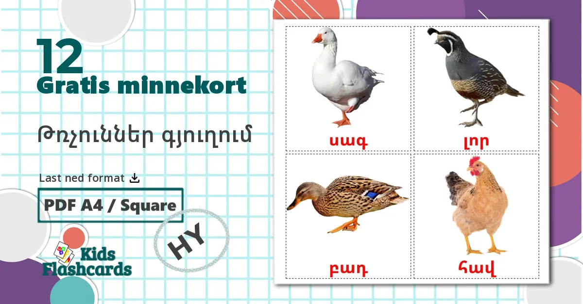 Gårdsfugler - Ordforrådskort for armensk
