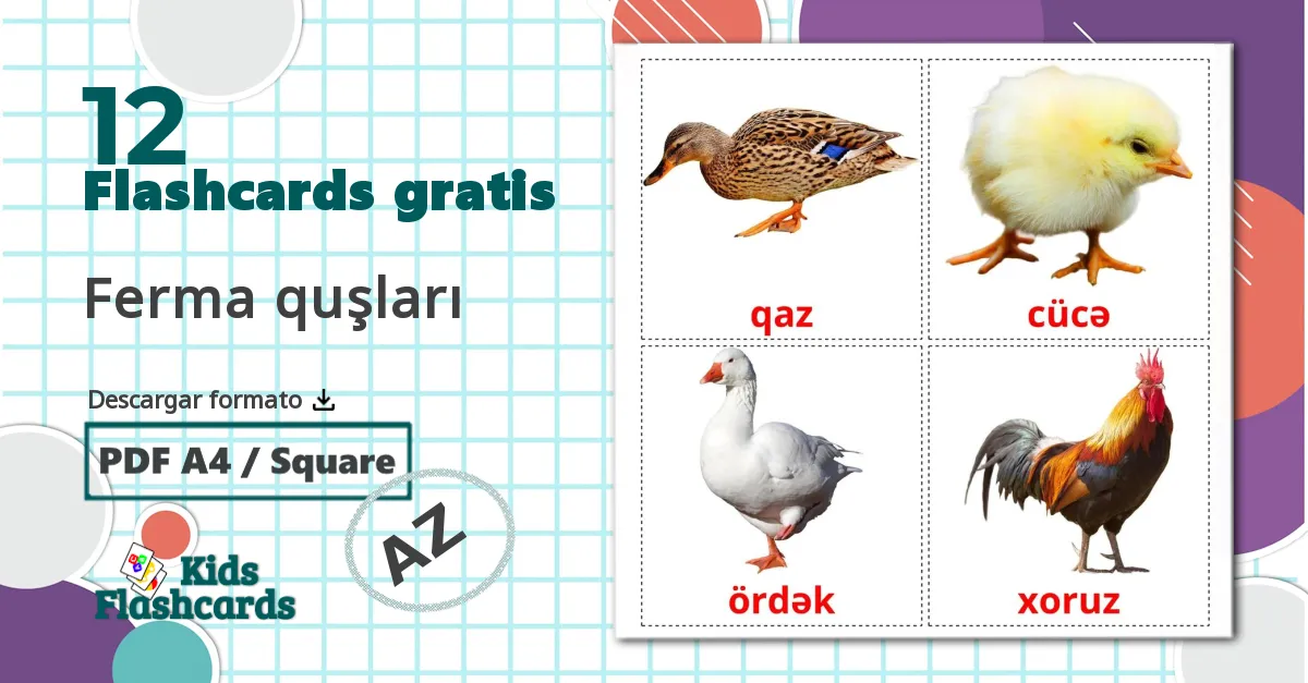 12 tarjetas didacticas de Aves de granja