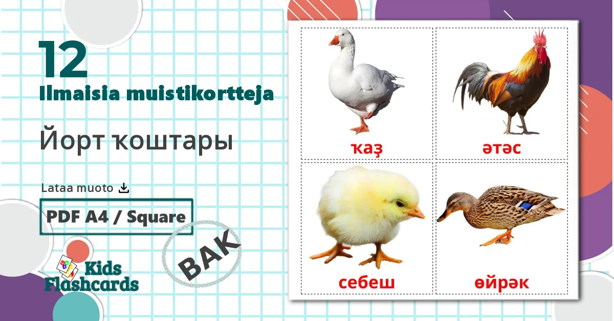 12 Йорт ҡоштары lasten kuvakortit