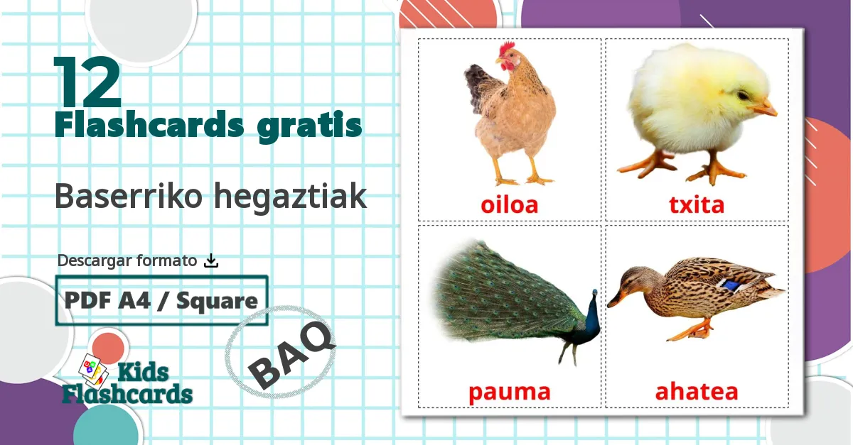 12 tarjetas didacticas de Aves de granja