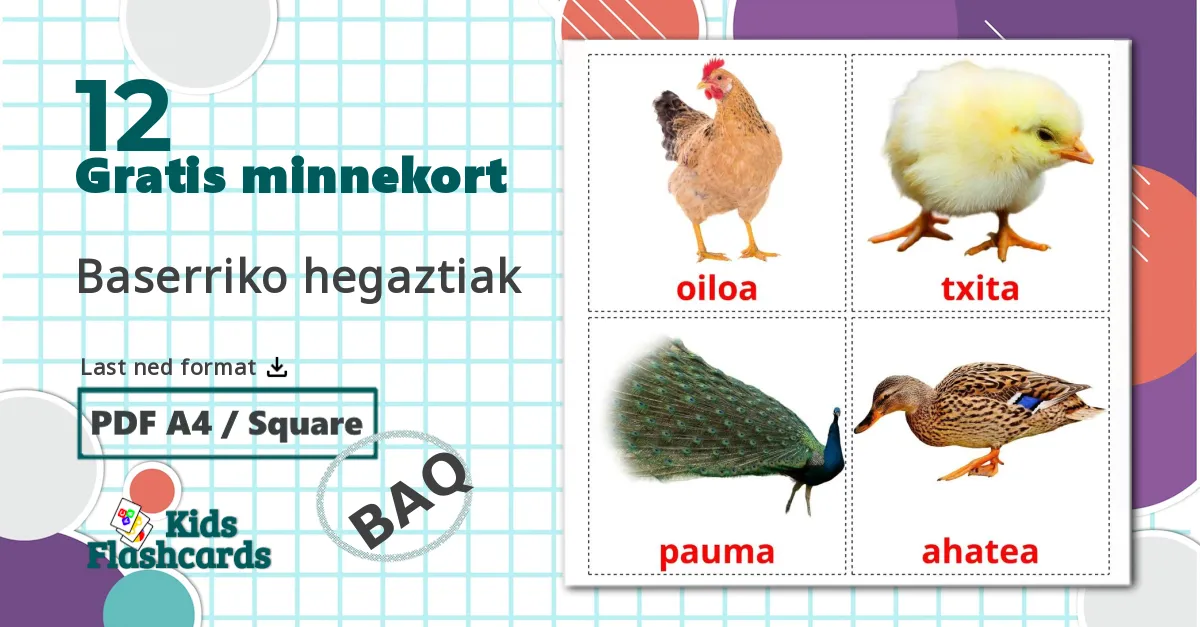 12 Baserriko hegaztiak bildekort