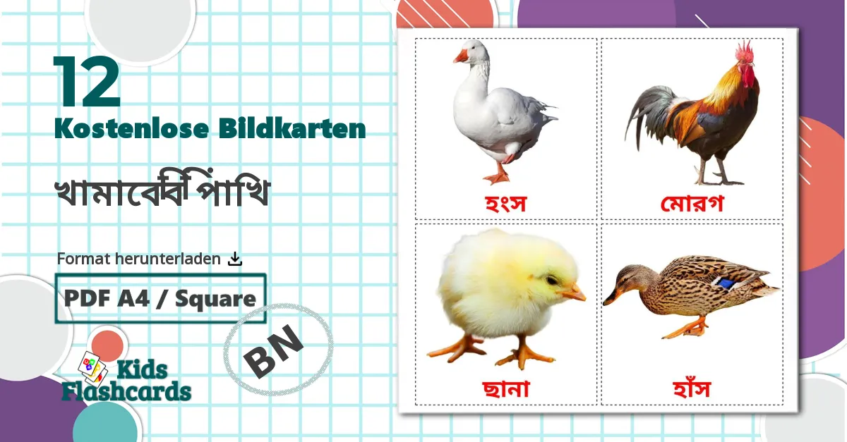 12 Bildkarten für খামারের পাখি