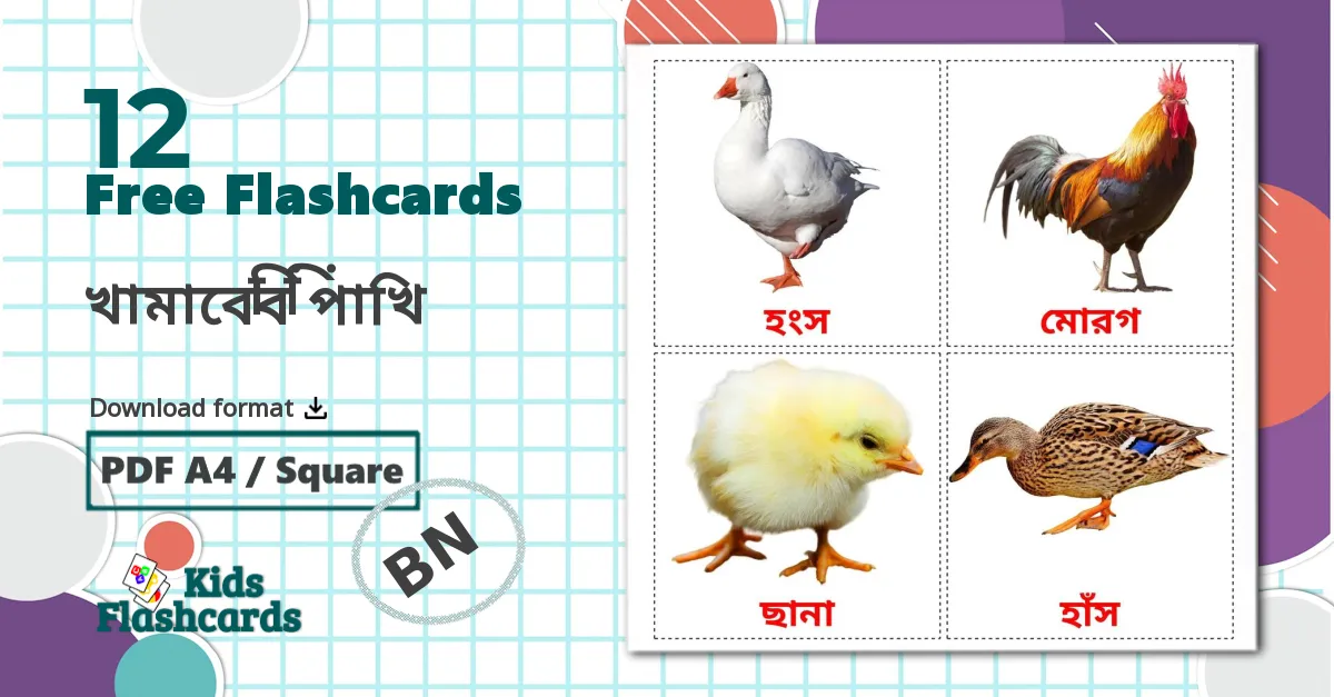 12 খামারের পাখি flashcards