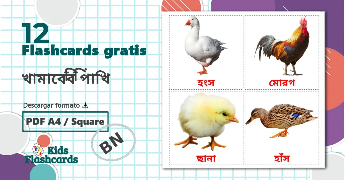 12 tarjetas didacticas de খামারের পাখি