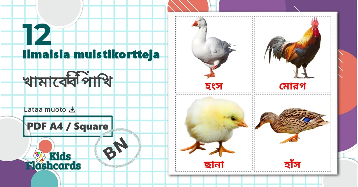 12 খামারের পাখি lasten kuvakortit