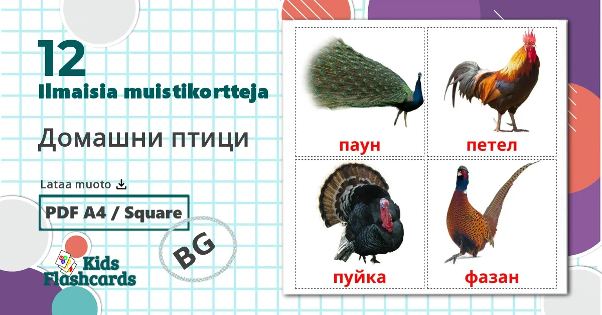 12 Домашни птици  lasten kuvakortit