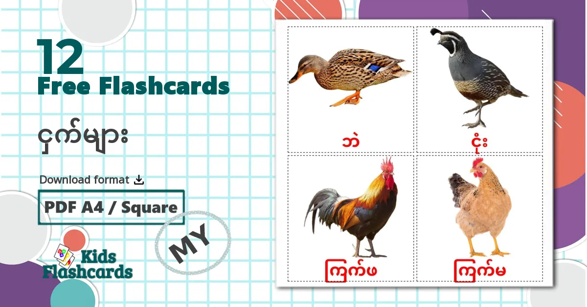 12 Garden flashcards