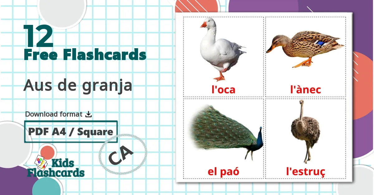 12 Aus de granja flashcards