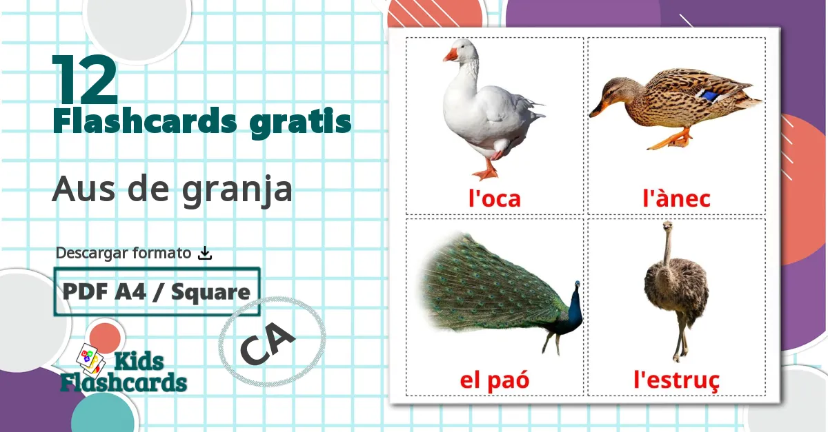 12 tarjetas didacticas de Aus de granja