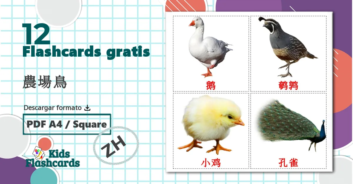 12 tarjetas didacticas de 農場鳥