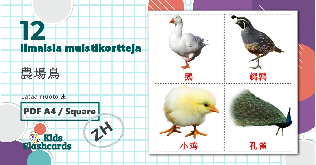 12 農場鳥 lasten kuvakortit