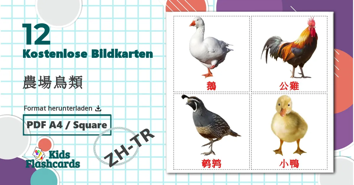 12 Bildkarten für Bauernhof Vögel